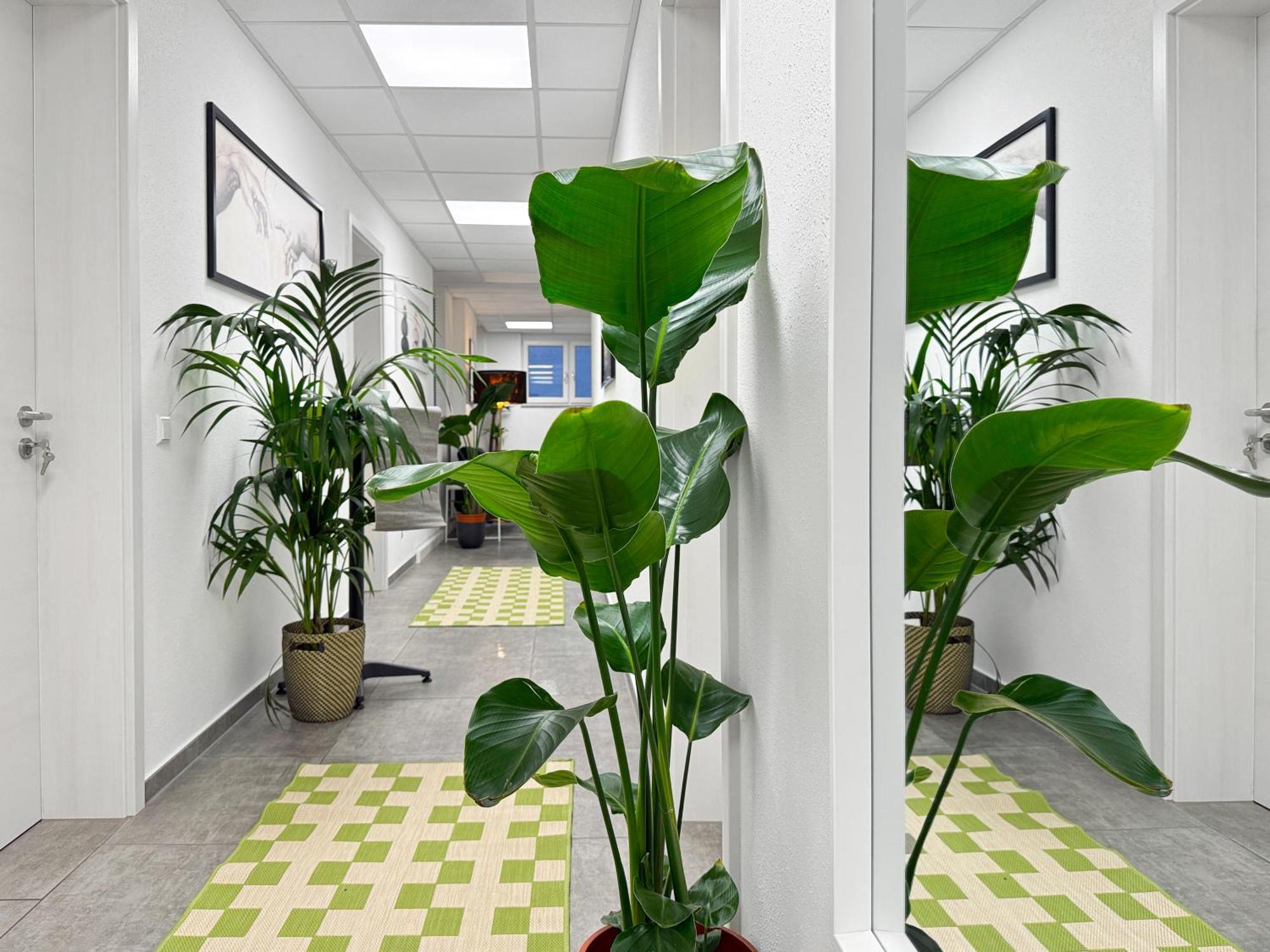 Group Friendly Comfort Central Stuttgart Apartment Ngoại thất bức ảnh